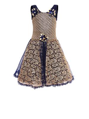 Blue Embroidered Net Kids-Frocks 1