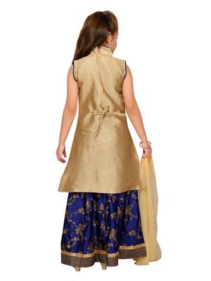 Blue Embroidered Art Silk Stitched Lehenga 3