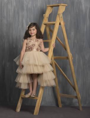 Gold embroidered net kids gowns 1