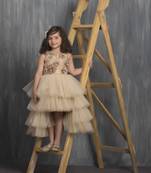 Gold embroidered net kids gowns