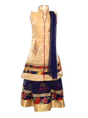 Blue printed net stitched lehenga 1