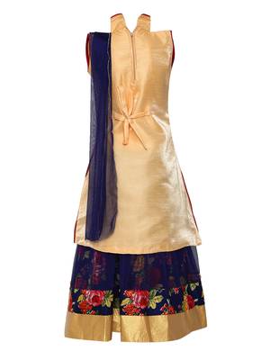 Blue printed net stitched lehenga 2