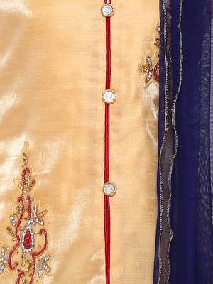 Blue printed net stitched lehenga 3
