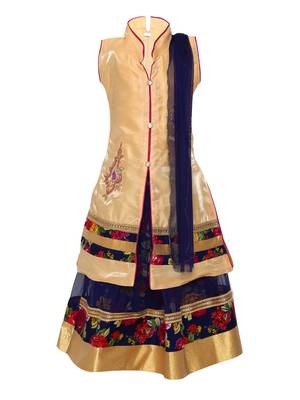 Blue printed net stitched lehenga 1
