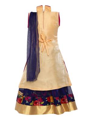 Blue printed net stitched lehenga 2