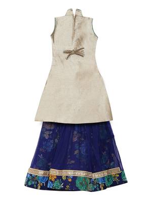 Blue printed net stitched lehenga 2