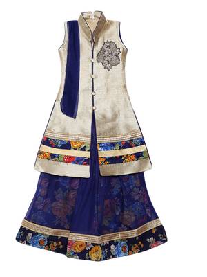 Blue printed net stitched lehenga 1