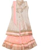 Light-peach embroidered net stitched lehenga