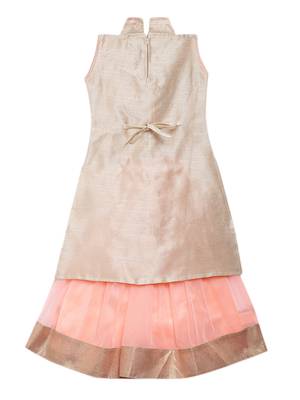 Light-peach embroidered net stitched lehenga 2