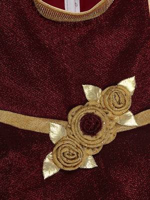 Maroon embroidered shimmer kids-girl-gowns 3