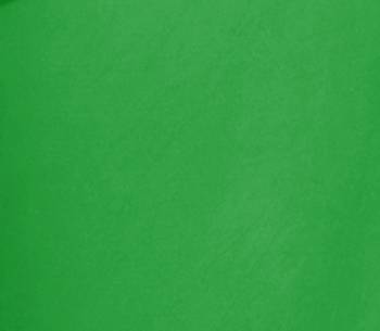 Green Cotton Churidar Leggings for Women's and Girl's (Free Size) 4