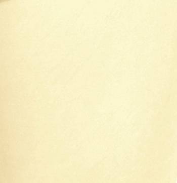 Cream Cotton Churidar Leggings for Women's and Girl's (Free Size) 4