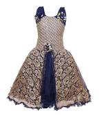 Blue Embroidered Net Kids Frocks