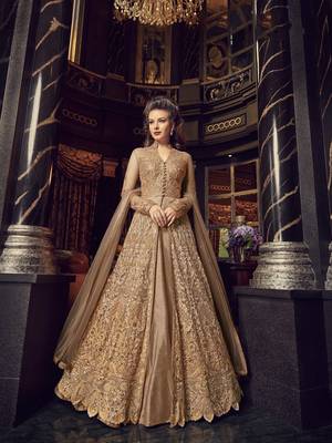 Light-brown embroidered net salwar 1