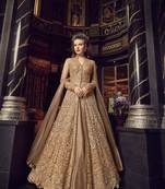 Light-brown embroidered net salwar