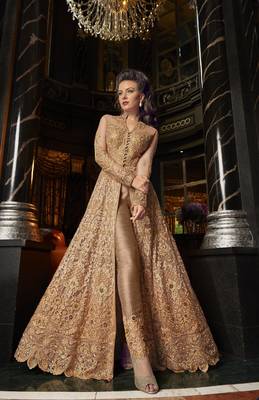 Light-brown embroidered net salwar 2
