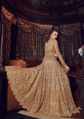 Light-brown embroidered net salwar 3