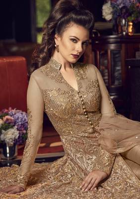 Light-brown embroidered net salwar 4