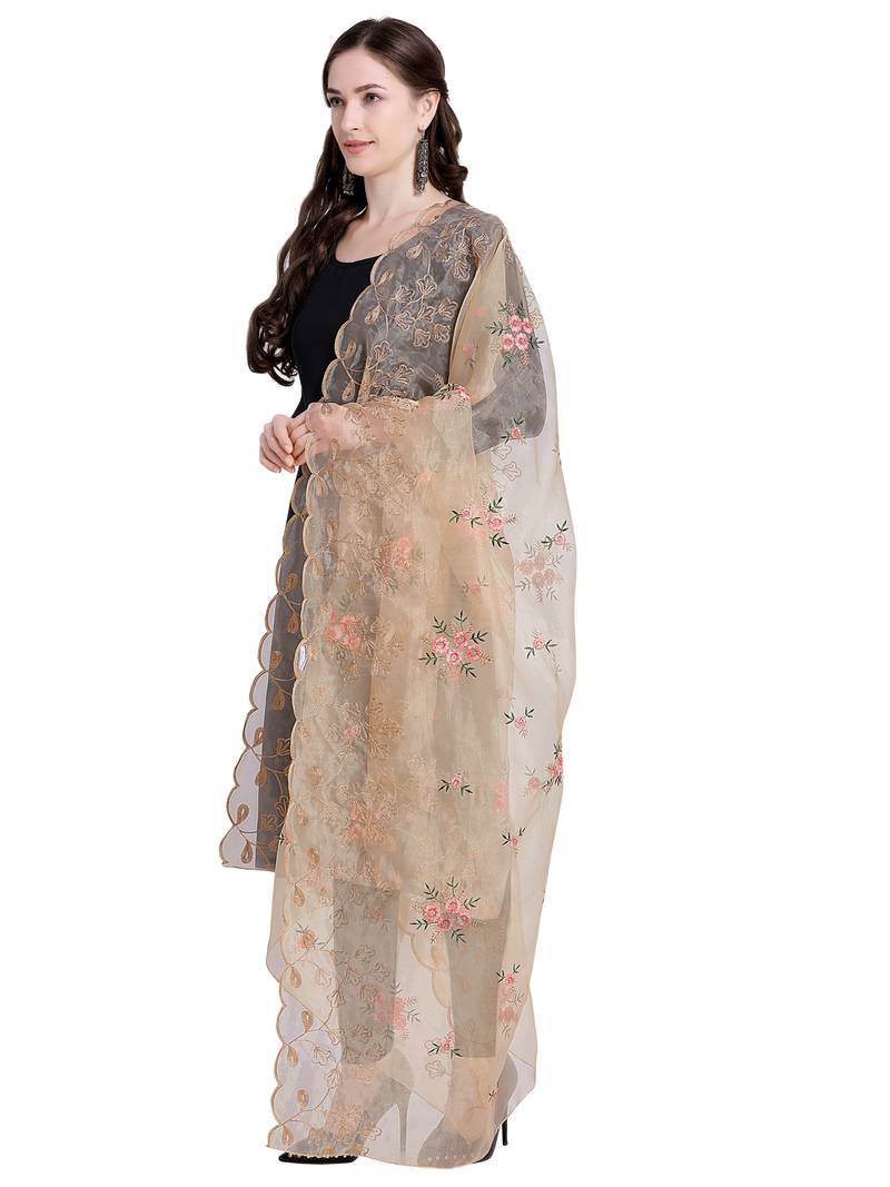 Beige Printed Organza Dupatta main image 1
