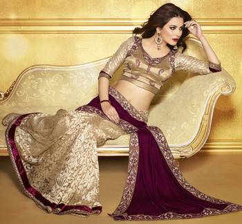 Brown  -  Cream embroidered velvet saree with blouse 2