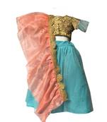 Blue embroidered net stitched lehenga