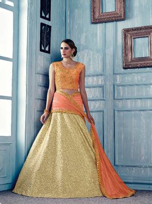 Multicolor embroidered net semi stitched lehenga with dupatta 1