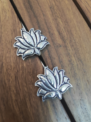 Silver studs 1