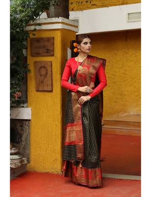 Black Shade Cotton Banarasi Handwoven Saree 1