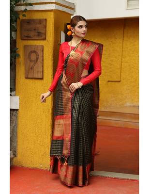 Black Shade Cotton Banarasi Handwoven Saree 2