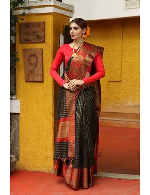 Black Shade Cotton Banarasi Handwoven Saree 3