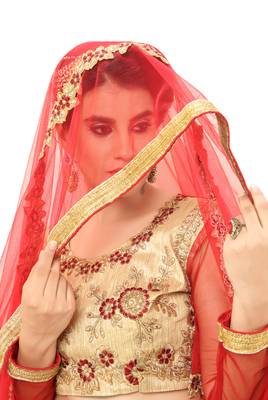 Beige Embroidered Silk Semi Stitched Lehenga With Dupatta 2