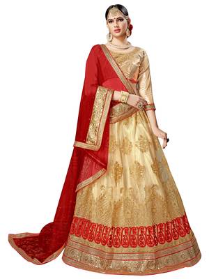 Beige Embroidered Net Semi Stitched Lehenga With Dupatta 1