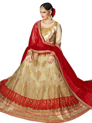 Beige Embroidered Net Semi Stitched Lehenga With Dupatta 2
