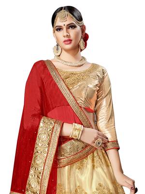 Beige Embroidered Net Semi Stitched Lehenga With Dupatta 3