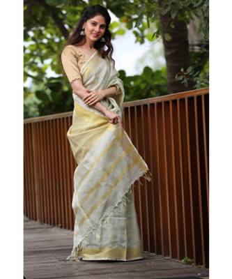 Faded Green Shade Handwoven Linen Saree with Gold Tone Design 4