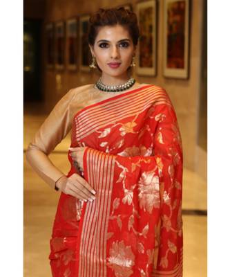 Red  hand woven Chiffon saree with blouse 4