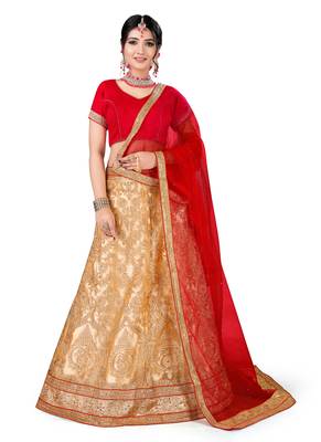 Beige Embroidered Net Semi Stitched Lehenga With Dupatta 1
