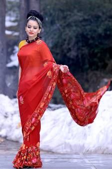 Maroon Colour Kashmiri Aari Work Embroidered Sarees Enriched With Floral Paisley Pattern
