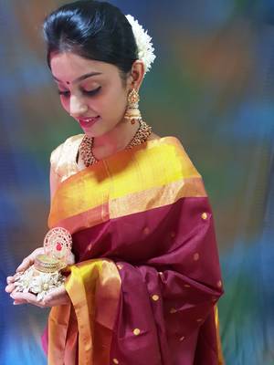Chocolate hand woven silk saree with blouse 3