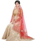 Designer Red Fancy net Dupatta