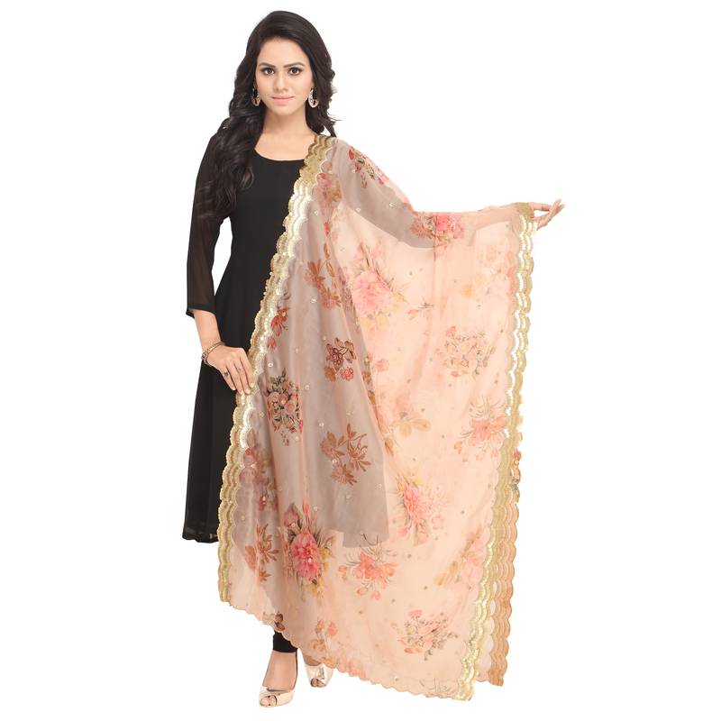 Fabric and Lace Digital print with Embroidery Border and Butta Design Organza Tissue Dupatta