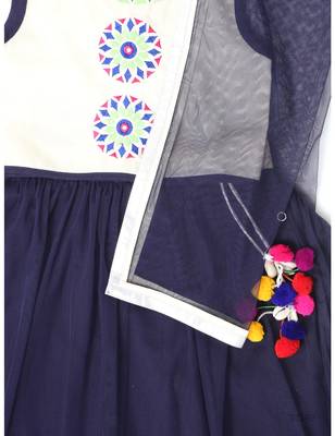 Embroidered Lehenga Set 2
