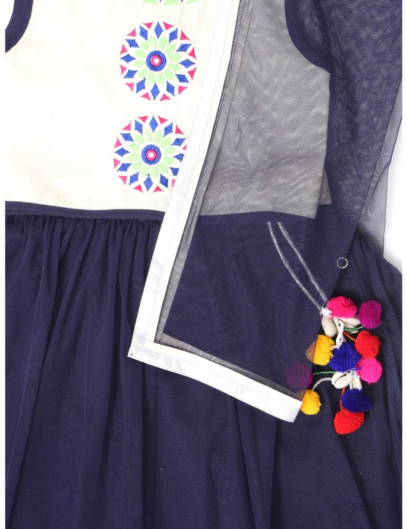 Embroidered Lehenga Set