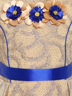 Blue Woven Nylon Kids-Frocks 4