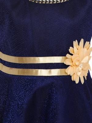 Blue Embroidered Nylon Kids-Frocks 3