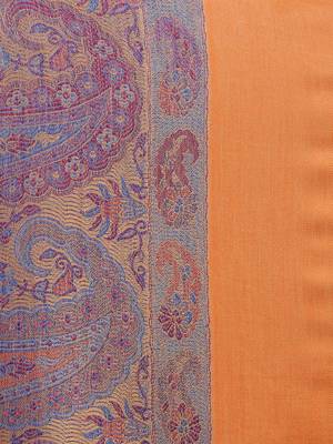 Anekaant Orange & Multicolour Modal Paisley Woven Design Frayed Shawl 4