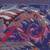 Anekaant Wine & Multicolour Viscose Rayon Floral and Paisley Woven Design Shawl