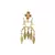 Gold Tassel Earrings
