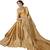 Golden embroidered  silk saree with blouse