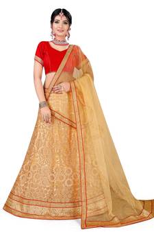 Beige Embroidered Net Semi Stitched Lehenga With Dupatta